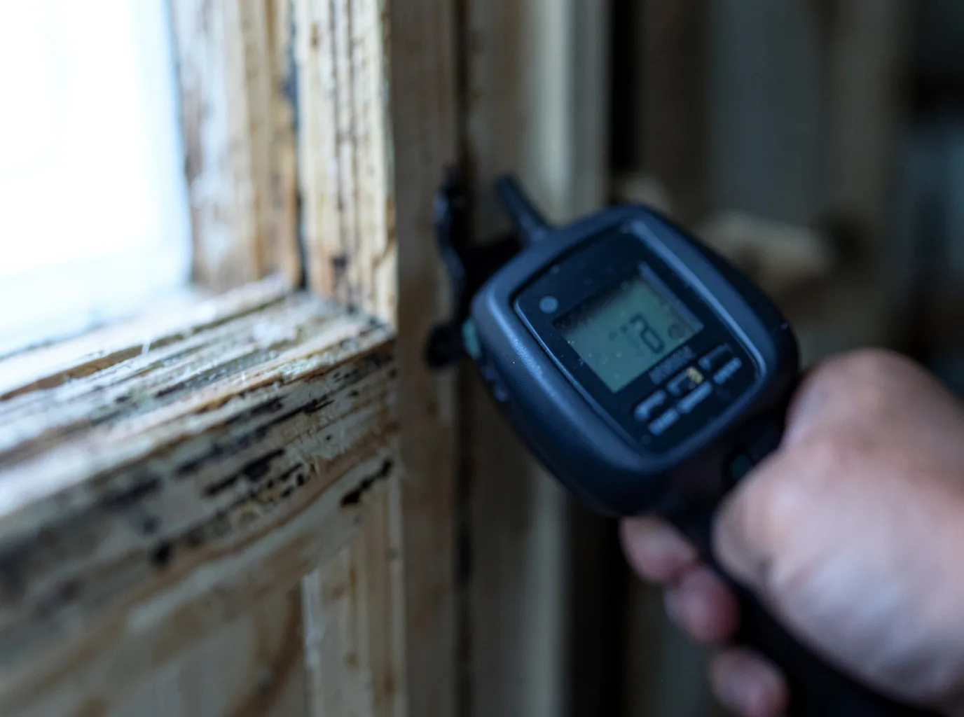 Moisture Inspection And Documentation in Neshkoro, WI